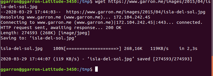 Download and sigle file with wget in Linux